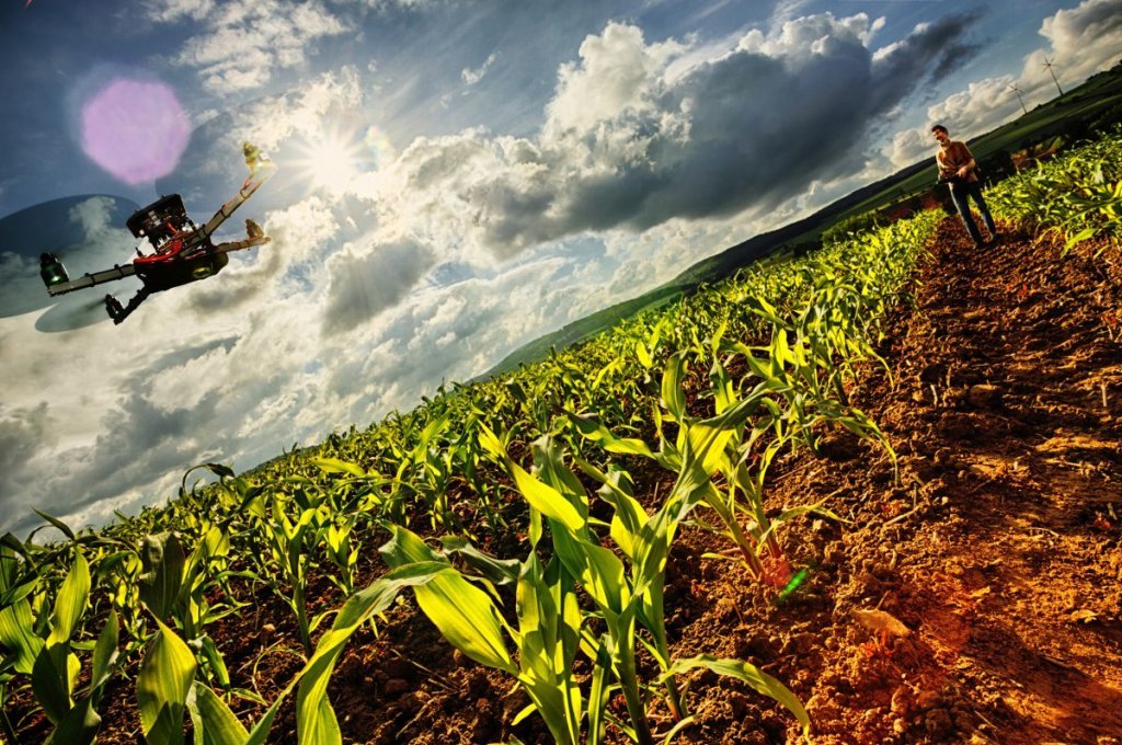 New partnership with Caterpillar will see sponsorship of two new initiatives: the IFAJ Caterpillar AgTech Reporting Award, and the Caterpillar Development Bursary.