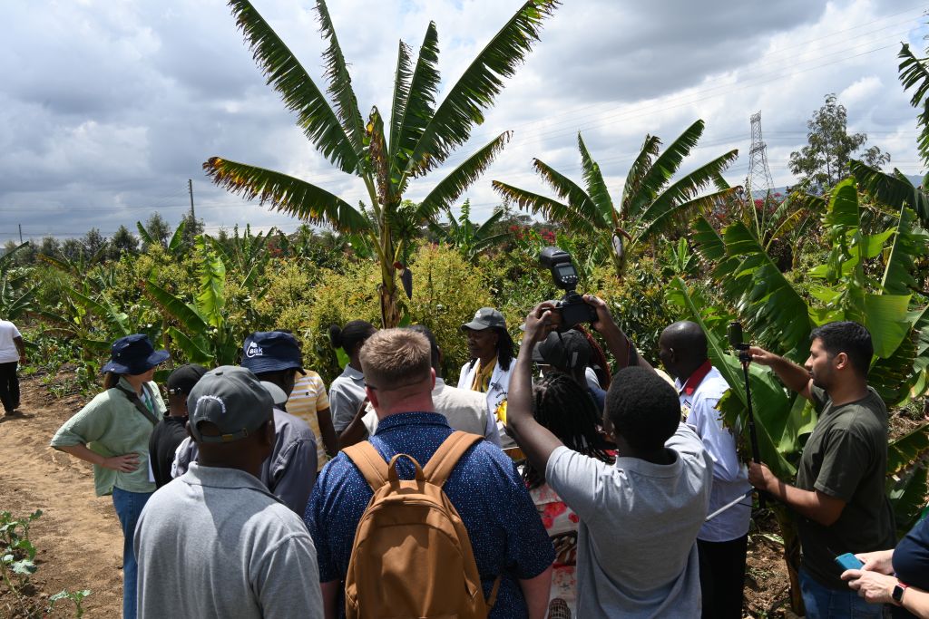 Del 14 al 18 de octubre de 2025, Nairobi se convirtió en el centro mundial del periodismo agrícola, con más de 180 periodistas de cinco continentes reunidos para el Congreso de la IFAJ, organizado en colaboración con el MESHA de Kenia.