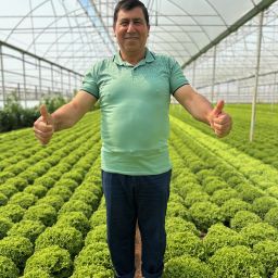 A Turkish lettuce grower gives the thumbs up
