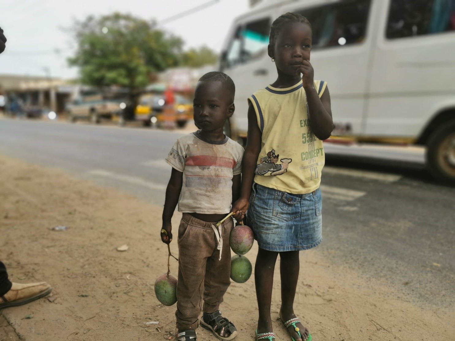 Children carrying mango fruits